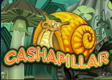 cashapillar